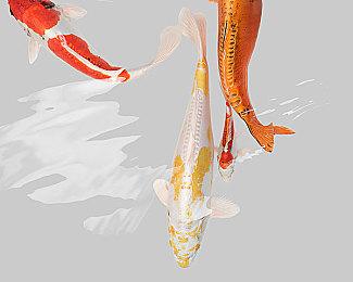 解谜游戏《三九》Steam页面 发售日待定